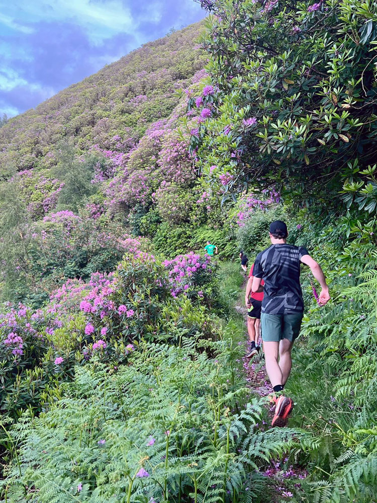Members of Minehead running club running past rhododendrons near the coast