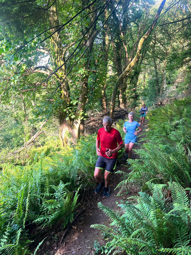 Members of Minehead running club running on a wooded trail